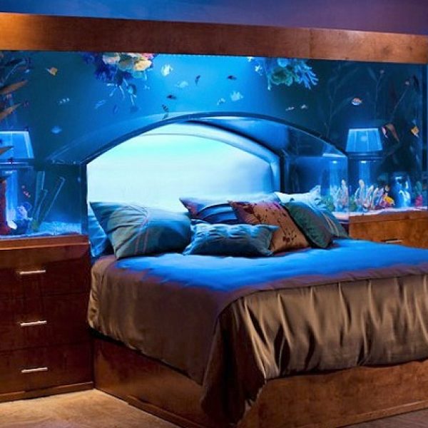 aquarium-bed-hybrid